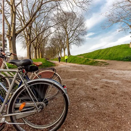 Ariostea Duplex * フェラーラ