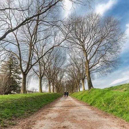 Ariostea Duplex フェラーラ